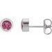 Round Bezel-Set Birthstone Stud Earrings
