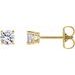 Round 4-Prong Lightweight Stud Earrings