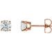Round 4-Prong Lightweight Stud Earrings