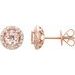 Round 4-Prong Halo-Style Earrings