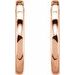 Hinged Hoop Earrings