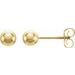 Youth Ball Stud Earrings