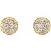 Cluster Earrings