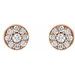 Cluster Earrings