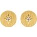 Accented Earrings