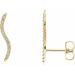 Accented Ear Climbers