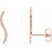 Accented Ear Climbers