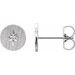 Accented Earrings