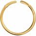 Geometric Ring