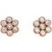 Cluster Earrings