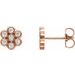 Cluster Earrings