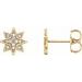 Accented Star Earrings
