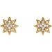 Accented Star Earrings