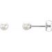 Pearl Stud Earrings