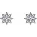 Accented Star Earrings