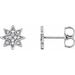 Accented Star Earrings