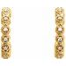 Accented Hoop Earrings