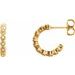 Accented Hoop Earrings