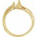 Freeform Remount Ring