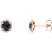 Round 4-Prong Halo-Style Earrings