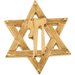Star of David Chai Lapel Pin