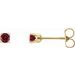 Round 4-Prong Youth Birthstone Stud Earrings