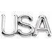 USA Lapel Pin