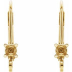 Accented Lever Back Earring Top