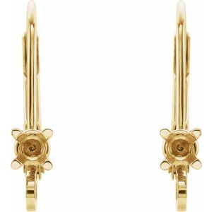 Accented Lever Back Earring Top