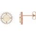 Halo-Style Earrings