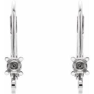 Accented Lever Back Earring Top