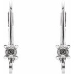 Accented Lever Back Earring Top