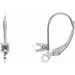 Accented Lever Back Earring Top