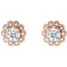 Round 4-Prong Halo-Style Earrings