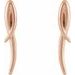 Freeform Drop Earrings