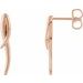 Freeform Drop Earrings