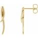 Freeform Drop Earrings