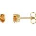 Oval 4-Prong Scroll Setting® Stud Earrings