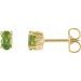 Oval 4-Prong Scroll Setting® Stud Earrings
