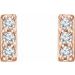 Bar Earrings