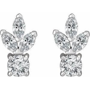 Accented Earrings
