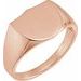 Shield Signet Ring