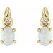 Accented Earrings