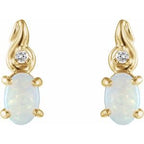 Accented Earrings