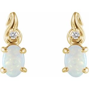 Accented Earrings