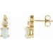 Accented Earrings