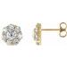 Cluster Earrings