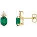 Accented Earrings