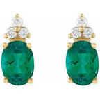 Accented Earrings