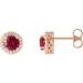 Round 4-Prong Halo-Style Earrings